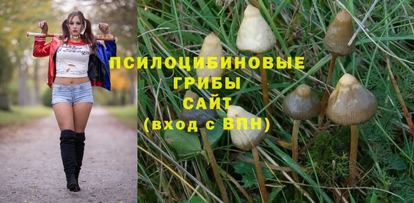 мяу мяу мука Белокуриха