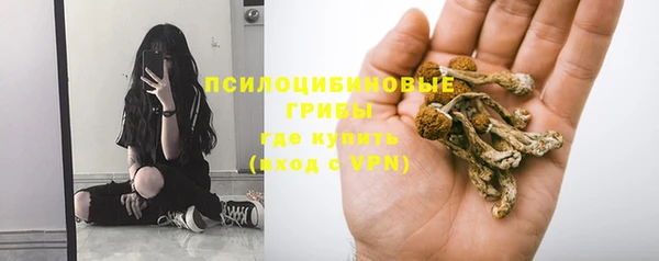 мяу мяу мука Белокуриха