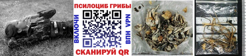 Псилоцибиновые грибы ЛСД  Купить закладки  Нарьян-Мар 