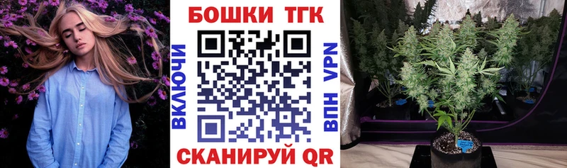 Бошки Шишки семена  Купить  Нарьян-Мар 